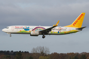 Pegasus Airlines Boeing 737-82R (TC-CPN) at  Hamburg - Fuhlsbuettel (Helmut Schmidt), Germany