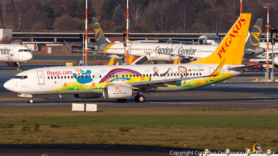 Pegasus Airlines Boeing 737-82R (TC-CPN) | Photo 413190