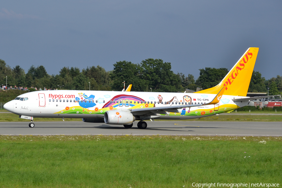 Pegasus Airlines Boeing 737-82R (TC-CPN) | Photo 421809