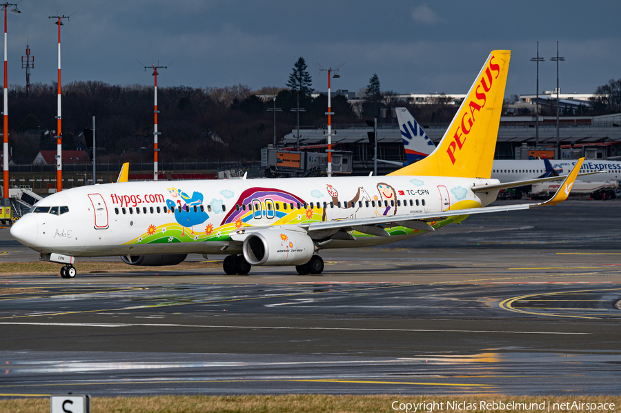 Pegasus Airlines Boeing 737-82R (TC-CPN) | Photo 436442