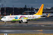 Pegasus Airlines Boeing 737-82R (TC-CPN) at  Hamburg - Fuhlsbuettel (Helmut Schmidt), Germany