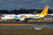 Pegasus Airlines Boeing 737-82R (TC-CPN) at  Hamburg - Fuhlsbuettel (Helmut Schmidt), Germany