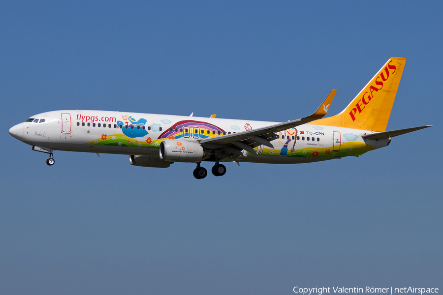 Pegasus Airlines Boeing 737-82R (TC-CPN) | Photo 507297