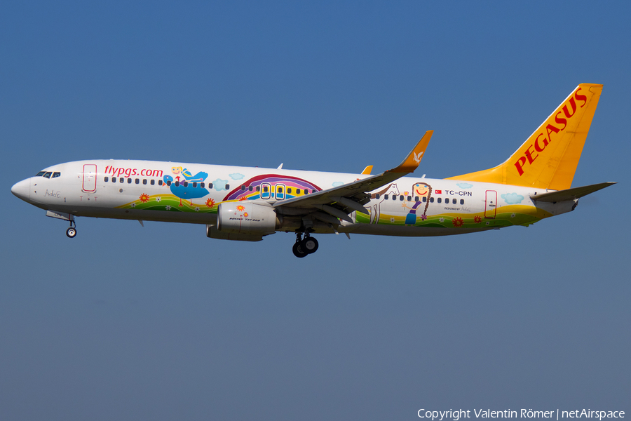 Pegasus Airlines Boeing 737-82R (TC-CPN) | Photo 507298