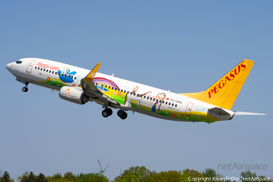 Pegasus Airlines Boeing 737-82R (TC-CPN) | Photo 507388