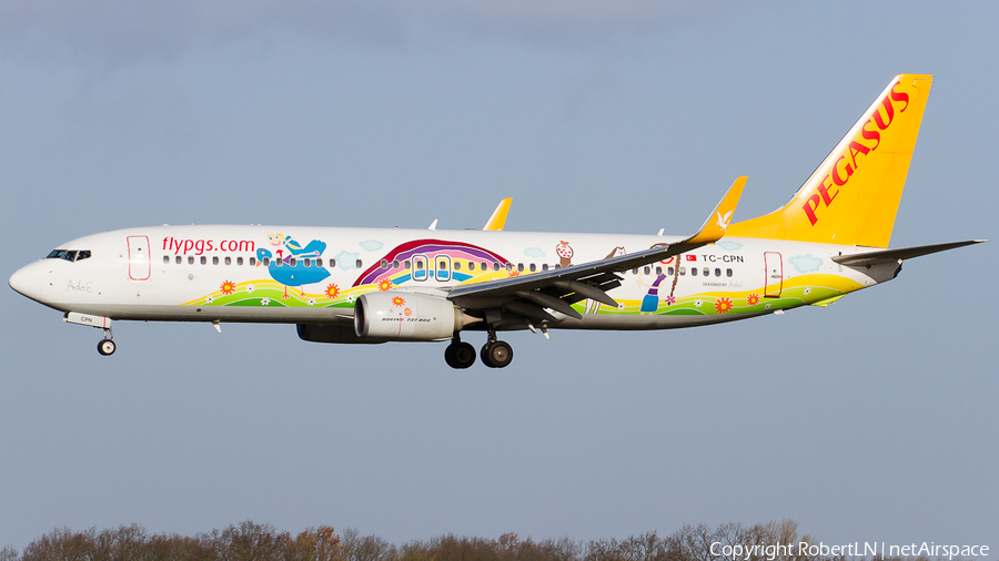 Pegasus Airlines Boeing 737-82R (TC-CPN) | Photo 591239