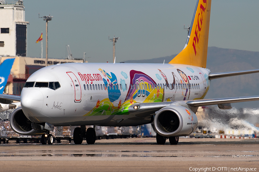 Pegasus Airlines Boeing 737-82R (TC-CPN) | Photo 376569