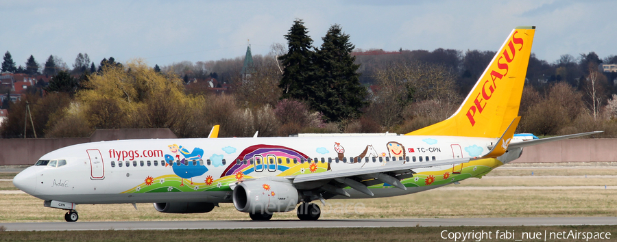 Pegasus Airlines Boeing 737-82R (TC-CPN) | Photo 103533