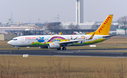 Pegasus Airlines Boeing 737-82R (TC-CPN) at  Berlin - Schoenefeld, Germany