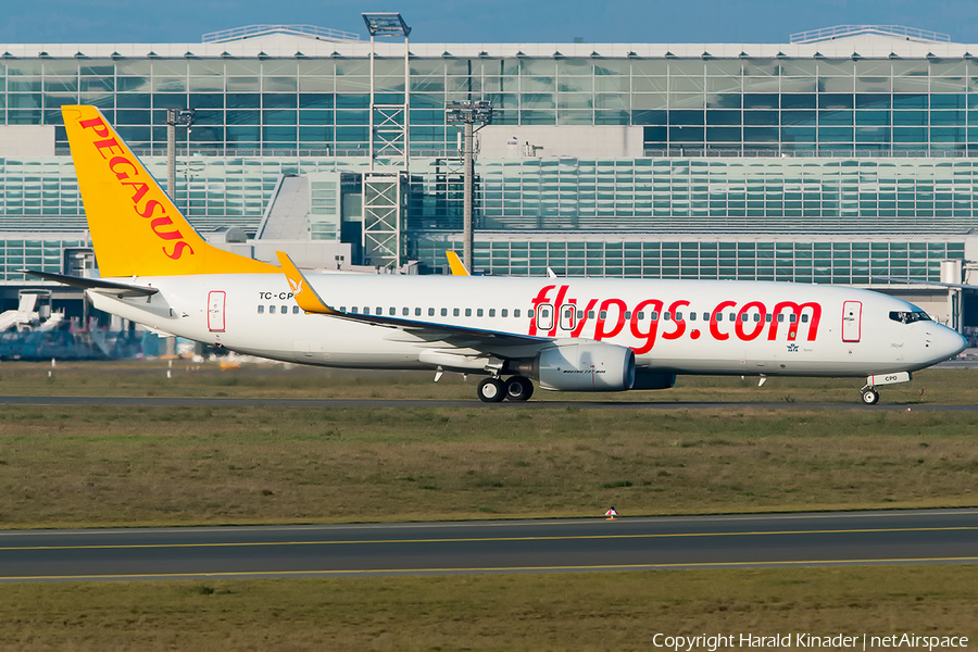 Pegasus Airlines Boeing 737-8AS (TC-CPO) | Photo 298691