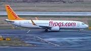 Pegasus Airlines Boeing 737-804 (TC-CPP) at  Dusseldorf - International, Germany