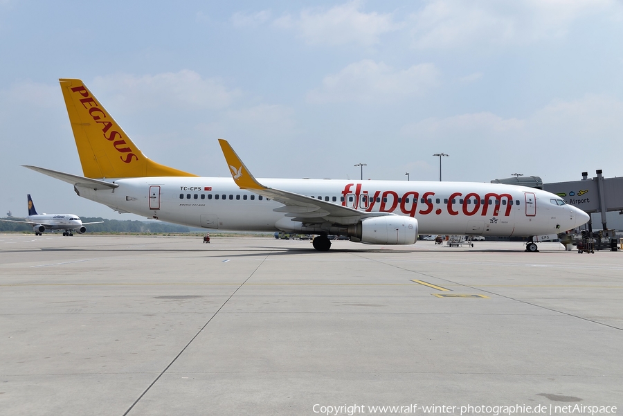 Pegasus Airlines Boeing 737-8GJ (TC-CPS) | Photo 428914
