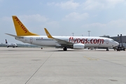 Pegasus Airlines Boeing 737-8GJ (TC-CPS) at  Cologne/Bonn, Germany