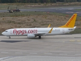 Pegasus Airlines Boeing 737-86N (TC-CPU) at  Cologne/Bonn, Germany