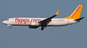 Pegasus Airlines Boeing 737-86J (TC-CPV) at  Dusseldorf - International, Germany