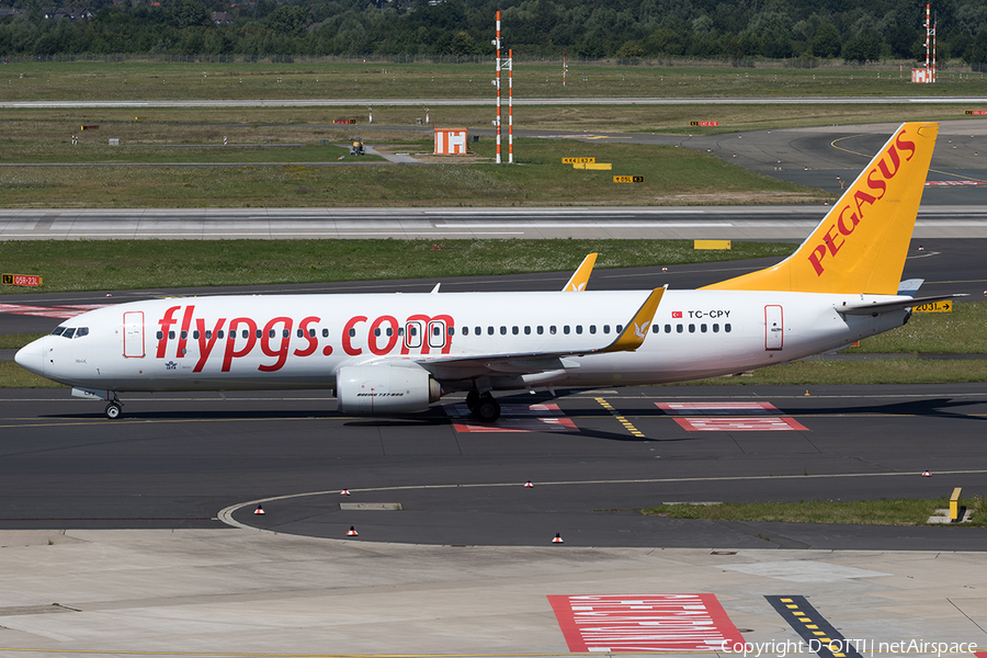 Pegasus Airlines Boeing 737-8H6 (TC-CPY) | Photo 604644