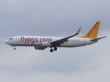 Pegasus Airlines Boeing 737-8H6 (TC-CPZ) at  Frankfurt am Main, Germany