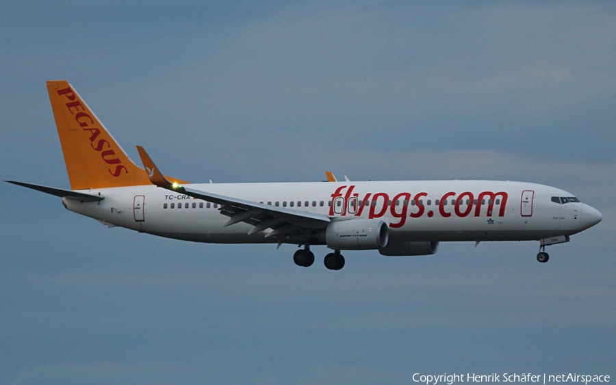 Pegasus Airlines Boeing 737-8H6 (TC-CRA) | Photo 319184