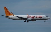 Pegasus Airlines Boeing 737-8H6 (TC-CRA) at  Cologne/Bonn, Germany