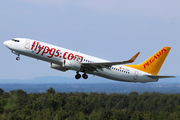 Pegasus Airlines Boeing 737-8H6 (TC-CRA) at  Paderborn - Lippstadt, Germany