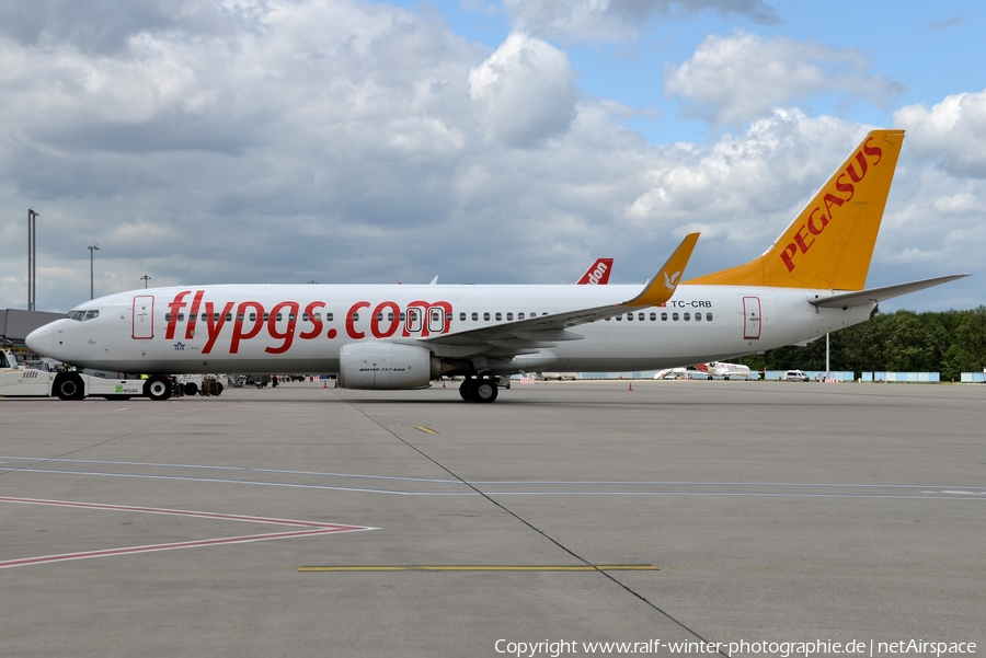 Pegasus Airlines Boeing 737-8AL (TC-CRB) | Photo 498939
