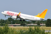 Pegasus Airlines Boeing 737-8AL (TC-CRB) at  Hamburg - Fuhlsbuettel (Helmut Schmidt), Germany