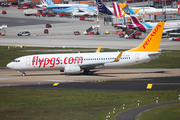 Pegasus Airlines Boeing 737-8AL (TC-CRB) at  Hamburg - Fuhlsbuettel (Helmut Schmidt), Germany