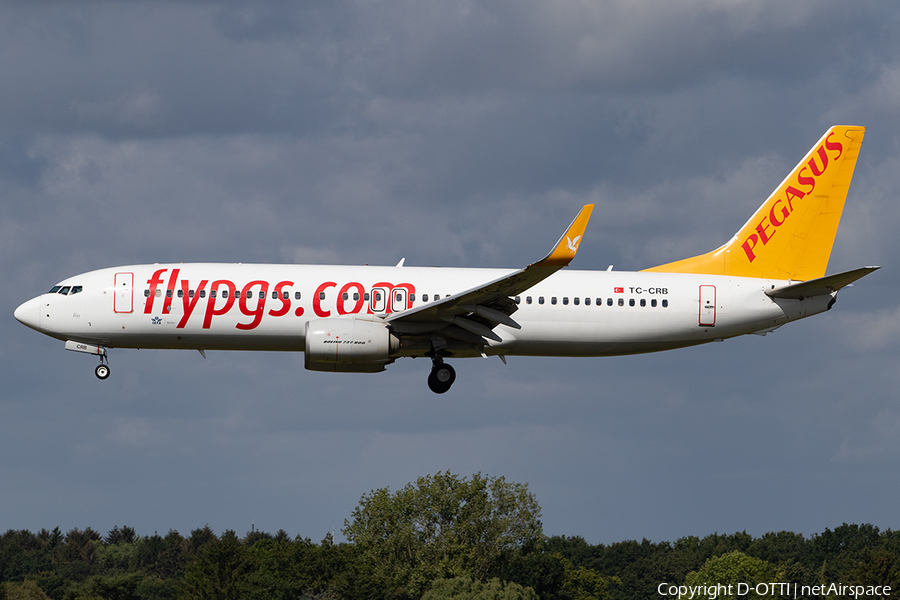 Pegasus Airlines Boeing 737-8AL (TC-CRB) | Photo 401192