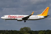 Pegasus Airlines Boeing 737-8AL (TC-CRB) at  Hamburg - Fuhlsbuettel (Helmut Schmidt), Germany