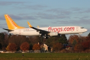 Pegasus Airlines Boeing 737-8AL (TC-CRB) at  Hamburg - Fuhlsbuettel (Helmut Schmidt), Germany