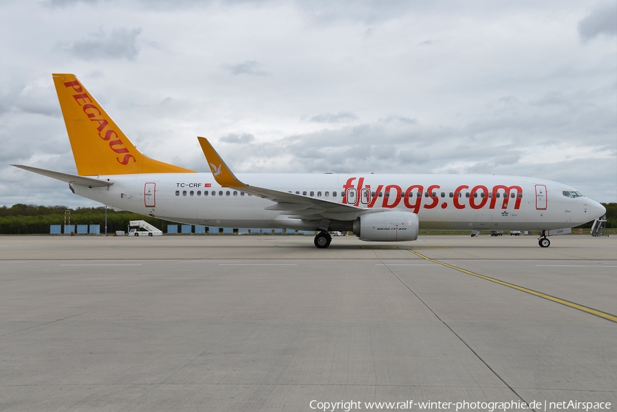 Pegasus Airlines Boeing 737-82R (TC-CRF) | Photo 482371