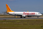 Pegasus Airlines Boeing 737-82R (TC-CRF) at  Frankfurt am Main, Germany