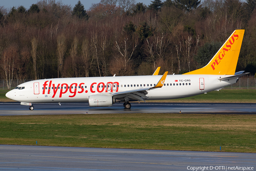 Pegasus Airlines Boeing 737-82R (TC-CRG) | Photo 375307