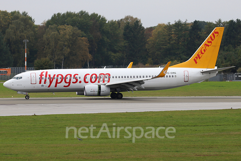 Pegasus Airlines Boeing 737-82R (TC-CRG) at  Hamburg - Fuhlsbuettel (Helmut Schmidt), Germany