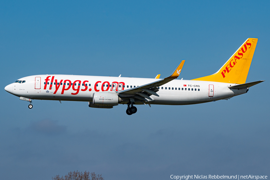 Pegasus Airlines Boeing 737-82R (TC-CRG) | Photo 500916