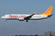 Pegasus Airlines Boeing 737-82R (TC-CRG) at  Hamburg - Fuhlsbuettel (Helmut Schmidt), Germany