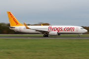 Pegasus Airlines Boeing 737-82R (TC-CRG) at  Hamburg - Fuhlsbuettel (Helmut Schmidt), Germany