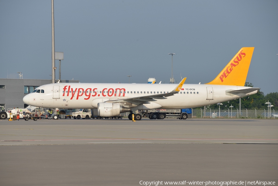 Pegasus Airlines Airbus A320-214 (TC-DCB) | Photo 344976