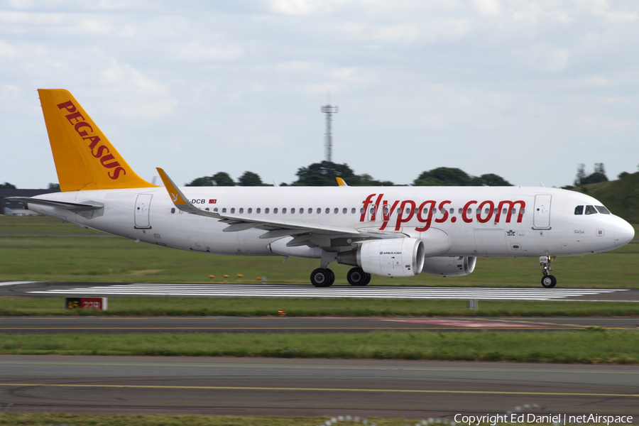 Pegasus Airlines Airbus A320-214 (TC-DCB) | Photo 52622