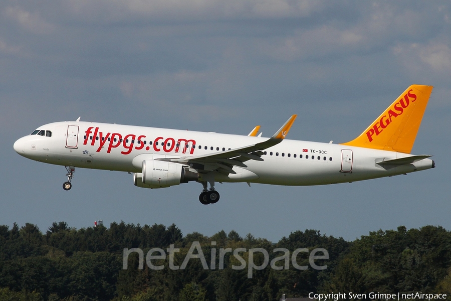 Pegasus Airlines Airbus A320-214 (TC-DCC) | Photo 123914