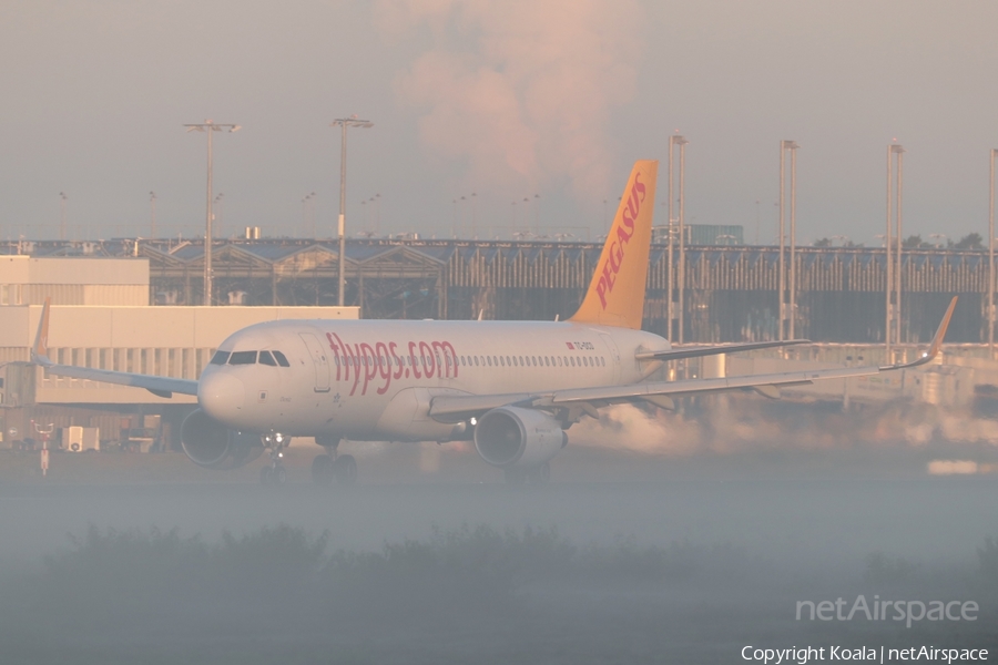 Pegasus Airlines Airbus A320-214 (TC-DCD) | Photo 565111