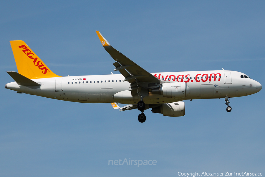 Pegasus Airlines Airbus A320-214 (TC-DCD) | Photo 408066
