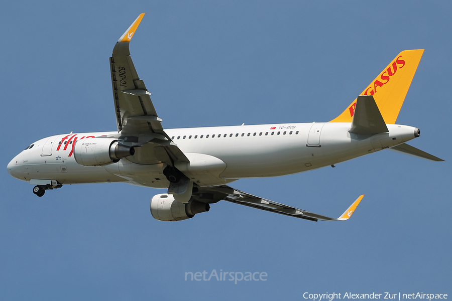 Pegasus Airlines Airbus A320-214 (TC-DCD) | Photo 408171