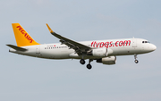 Pegasus Airlines Airbus A320-214 (TC-DCE) at  Dusseldorf - International, Germany