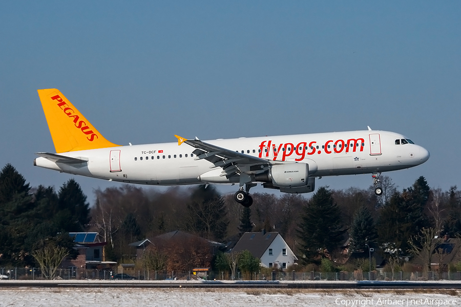 Pegasus Airlines Airbus A320-216 (TC-DCF) | Photo 224089