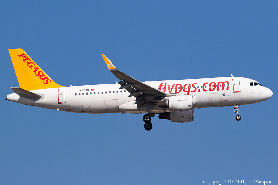 Pegasus Airlines Airbus A320-216 (TC-DCG) | Photo 646479