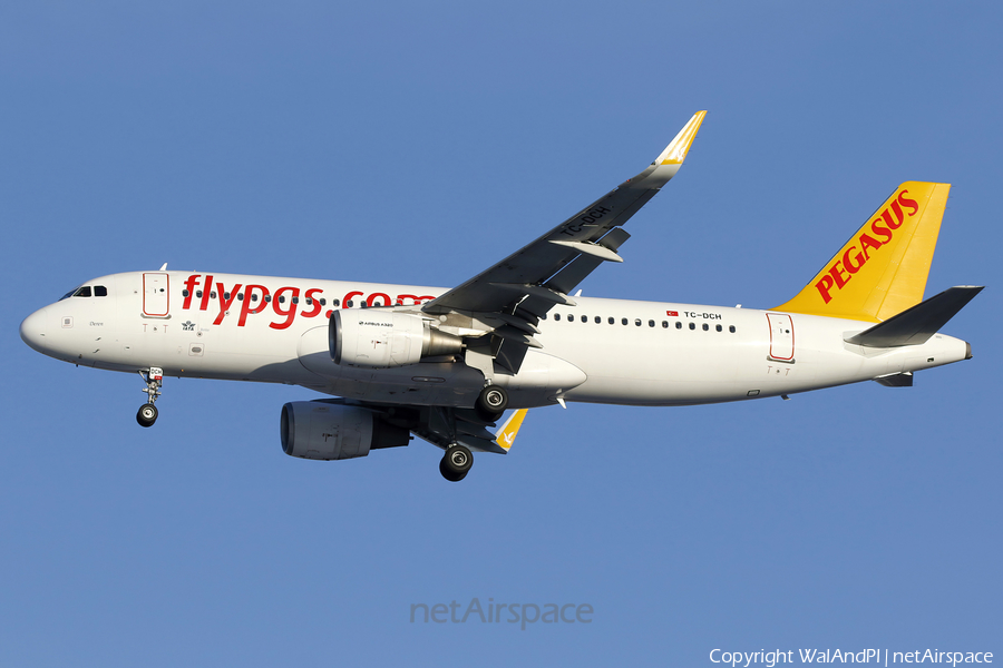 Pegasus Airlines Airbus A320-216 (TC-DCH) | Photo 659415