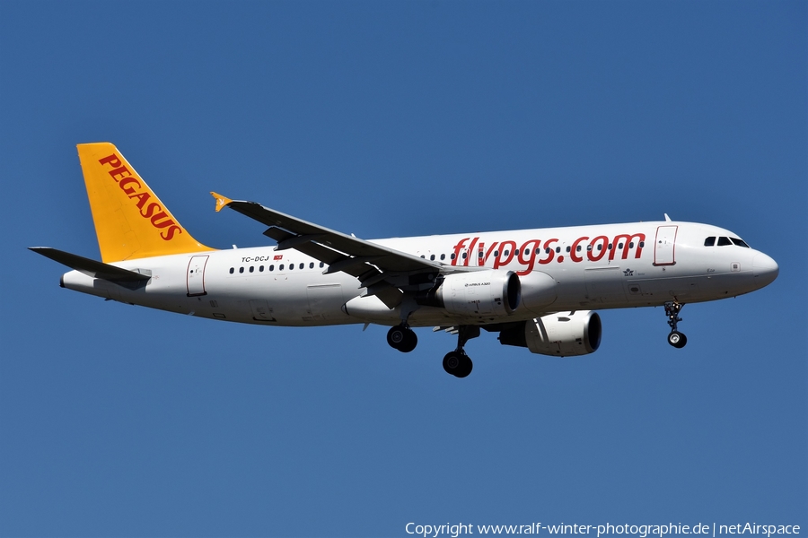 Pegasus Airlines Airbus A320-214 (TC-DCJ) | Photo 454087