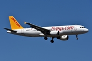 Pegasus Airlines Airbus A320-214 (TC-DCJ) at  Frankfurt am Main, Germany