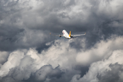 Pegasus Airlines Airbus A320-214 (TC-DCM) at  Hamburg - Fuhlsbuettel (Helmut Schmidt), Germany